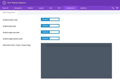 How to Add Custom Code to Divi Theme (CSS, Javascript & PHP) [2020 ...